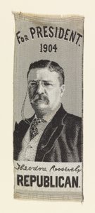 Theodore Roosevelt by Unbekannt Unbekannt